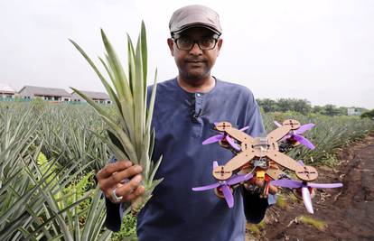 Od odbačenih listova ananasa sada mogu napraviti dronove