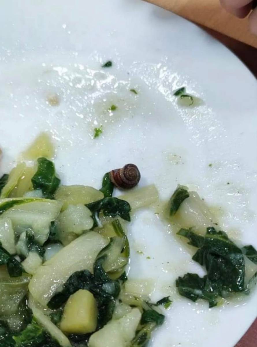 U hrani menze doma Stjepan Radić studenti pronašli dlake, žicu, a sad im ne radi ni dućan