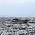 U dvije pomorske nesreće u zadarskom i istarskom akvatoriju spasili više ljudi