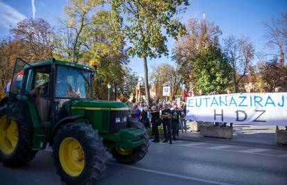 HDZ o prosvjedu svinjogojaca u Vinkovcima: 'Slušajte znanost i struku, a ne nadriliječnike iz DP'