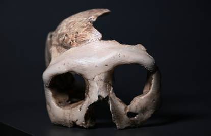 Tajna zagorske Lubanje C: 'Njeni su tajanstveni urezi simbolički'