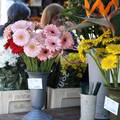FOTO Cvije&cacute;e i cvjetni aran&zcaron;mani spremni za Dan &zcaron;ena u &Scaron;ibeniku