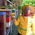 Pčelari upozoravaju: 'Upitna je proizvodnja meda, bojimo se da će samo oni najuporniji opstati'