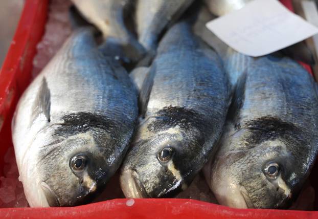 Šibenik: Ponuda ribe na korizmeni petak