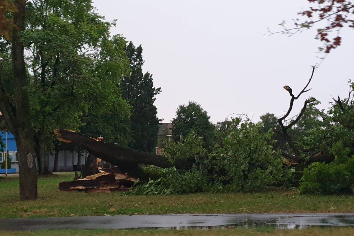 Nevrijeme u Slavoniji: Jak je vjetar srušio nekoliko stabala