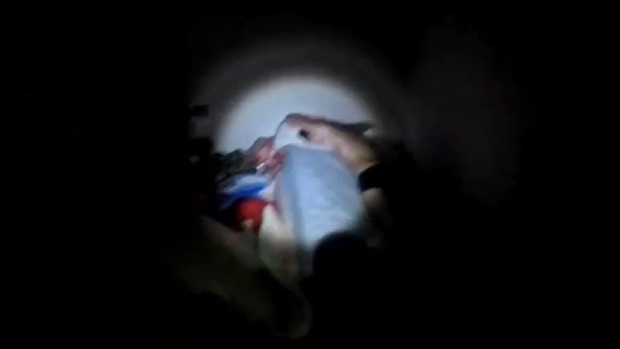 VIDEO Pogledajte kako su ZG policajci uhitili provalnike koji su krali po Zagrebu i okolici