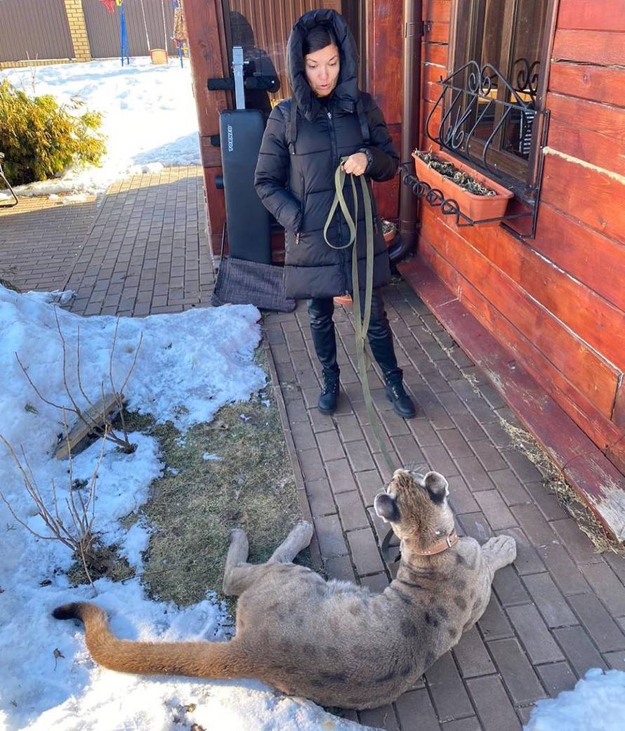 Živi s pumom: 'Zbog korone i ona pere šape koliko i mi ruke'