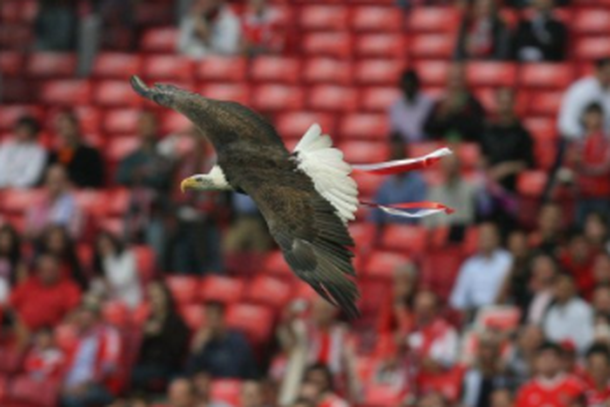 Benfica odbila AEK: Ništa od najbizarnije posudbe u povijesti