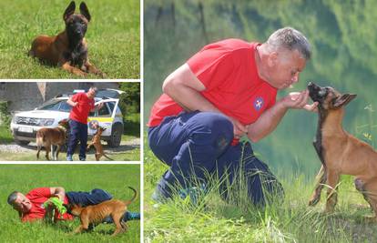 Pametni Zorro može tragati za nestalima kao 25 ljudi zajedno: 'Neustrašiv je, a i Draco ga voli'