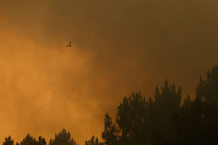 Wildfire in Lege-Cap-Ferret