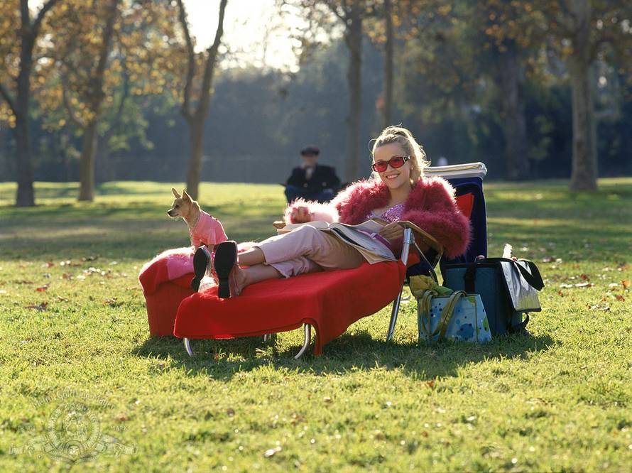 Volite 'Plavušu s Harvarda'? Na Amazon stiže 'prequel' tog hita