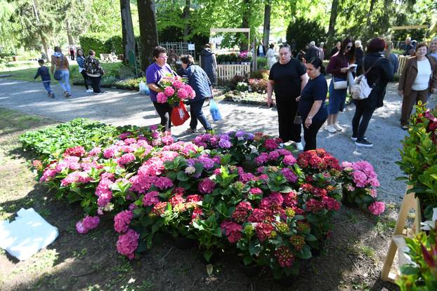 Daruvar: Sajam cvijeća, bilja i sadnica privukao mnogobrojne posjetitelje