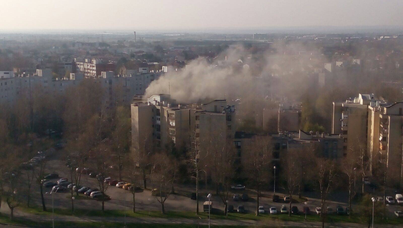 Otrovao se dimom: Ugušio se dok je spašavao papigu iz vatre