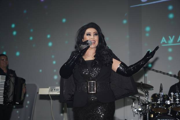 Beograd: Repriza dočeka Nove godine u Immersive sali Sava Centra uz Draganu Mirković