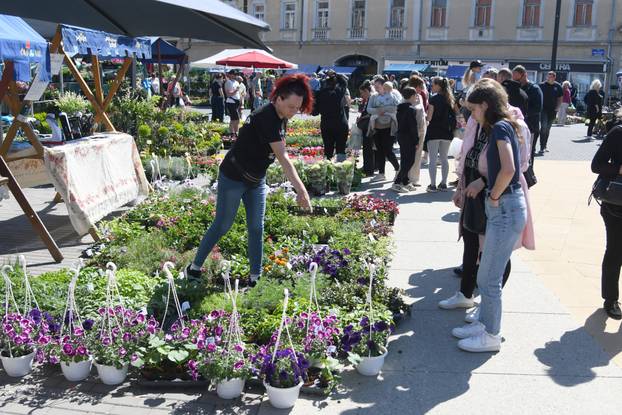 Najveći sajam cvijeća u Podravini privakao pažnju mnogobrojnih ljubitelja flore