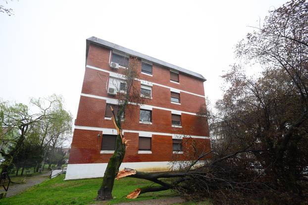 Zagreb: Jak olujni vjetar polomio stabla i grane na Jarunu