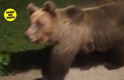 VIDEO 'Medo mi je provirio kroz prozor. Ulaze psima u bokseve, susjed je pobjegao na terasu'