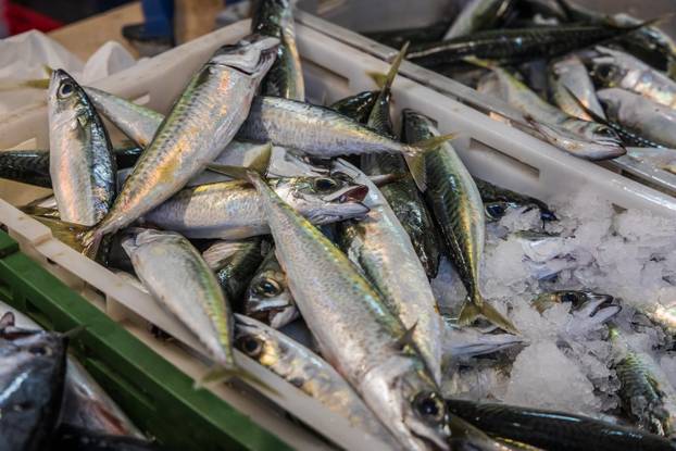 Split: Bogata ponuda ribe petkom u splitskoj ribarnici