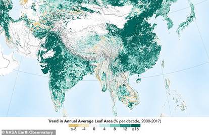 Napokon dobre vijesti: Zemlja je zelenija zbog Kine i Indije