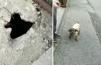 VIDEO Iz rupe duboke dva metra izvukli psa u Zagrebu: 'Vlasnici su bili sretni  što je samo prljav'