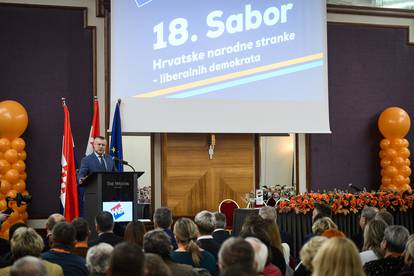 FOTO HNS bira predsjednika, zamjenike, članove odbora, suda časti. Stigao i Božinović