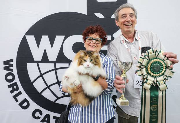 FOTO Otvorena Svjetska izložba mačaka u zagrebačkom Family Mallu! Traje i tijekom nedjelje