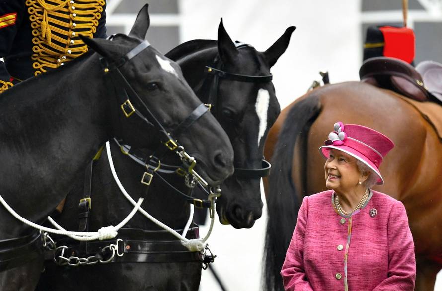 Buckingham Palace Royal Animals exhibition