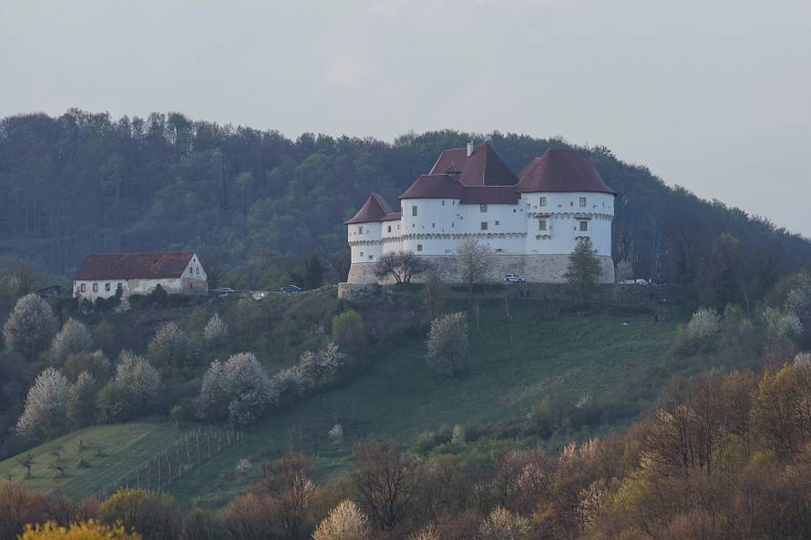 Kod Dvora Velik Tabor top usmrtio muškarca