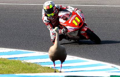 Kva kva kva, brža sam od tebe: Motociklistu je usred utrke u Australiji uletjela patka...