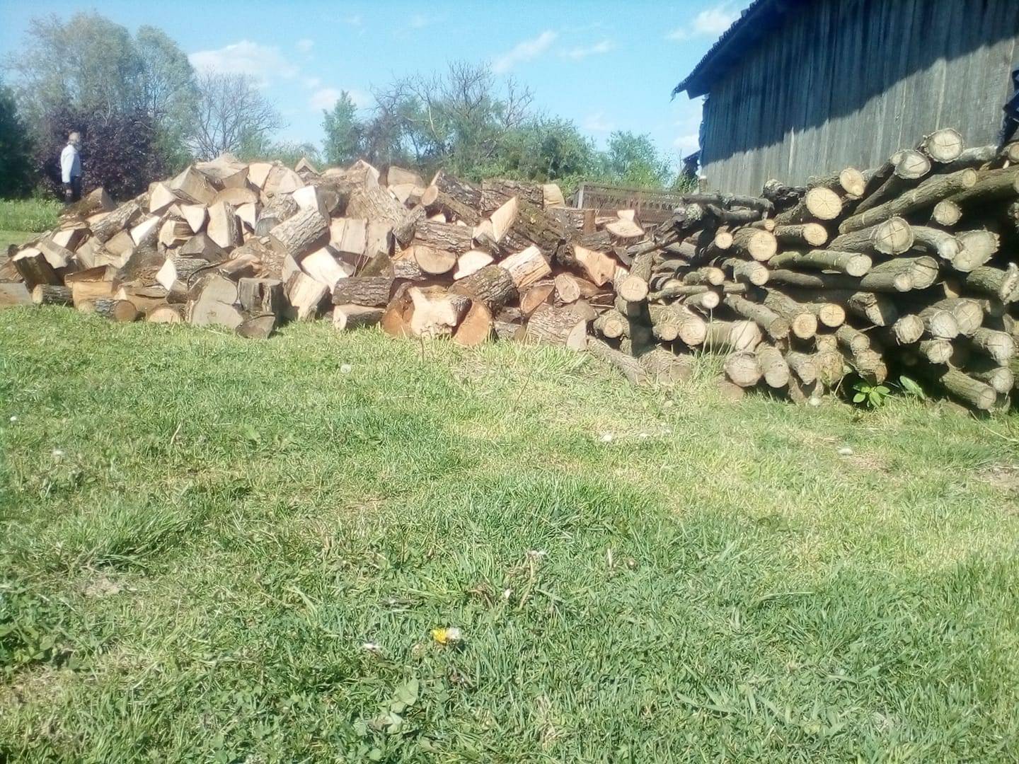 Maja se prisjetila 'Ljubavi na selu', pokazala i da cijepa drva
