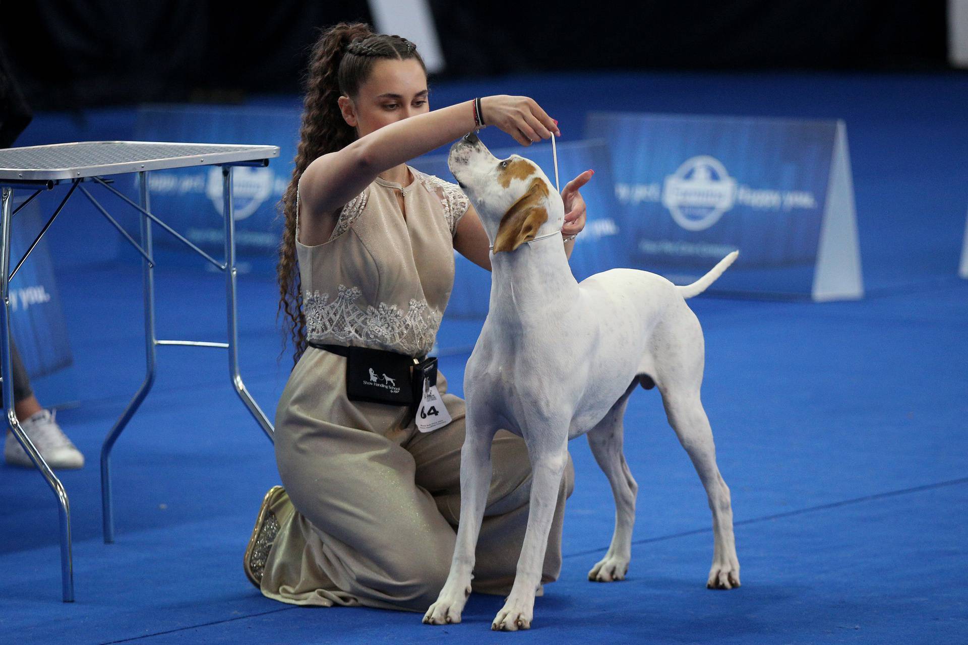 Zagreb: Drugi dan izložbe World Dog Show 2024