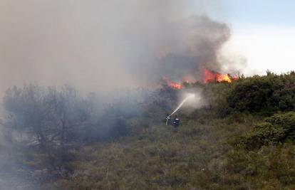 Požar na Palmižani ugasili 35 vatrogasaca i kanader