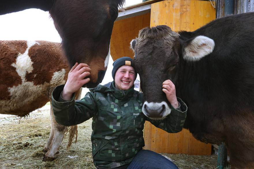21-godišnji Markus bavi se treniranjem krava, a poznat je i kao "šaptač kravama"