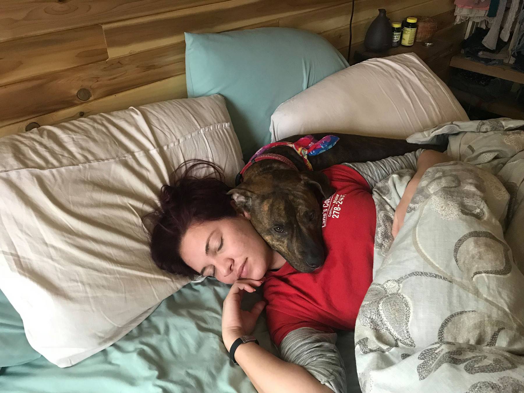 AMA-ZONKED OUT! BAKER WITH NARCOLEPSY RECEIVES SURPRISE PACKAGES SHES ORDERED ONLINE IN HER SLEEP - FROM AIR HORNS TO PROM DRESSES