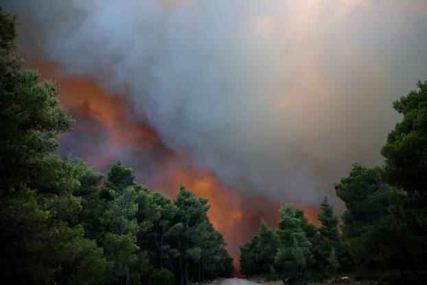 Wildfire in Krio Pigadi