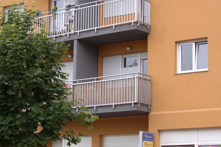 Davor Javorović/PIXSELL