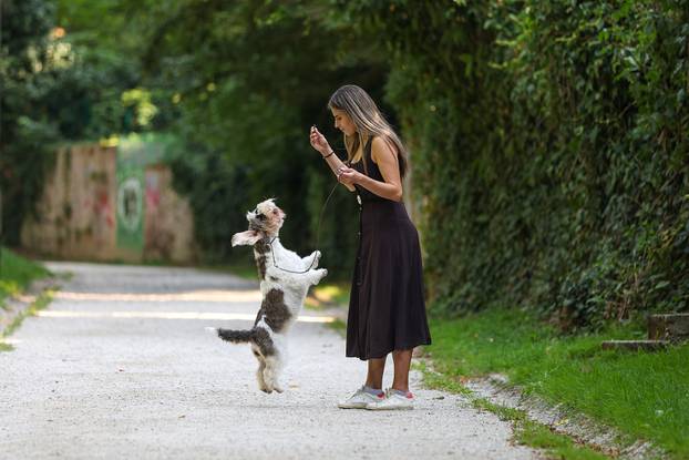 Zagreb: Hrvatska kujica Meghan proglašena najljepšim psom na svijetu