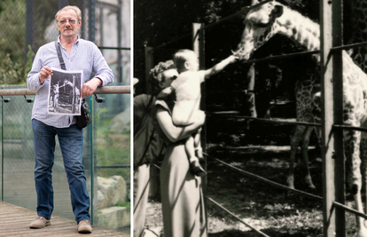 Vladimir (72): Ja sam dijete s rijetke fotografije zagrebačkih žirafa iz 1955. Hranio sam ih...