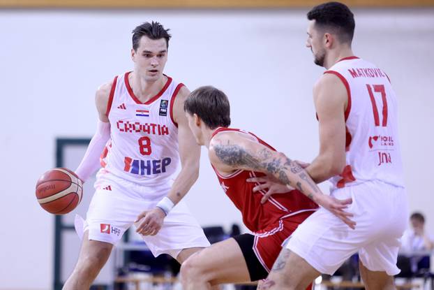 Susret Hrvatske i Danske u pretkvalifikacijama za Svjetsko ko&scaron;arka&scaron;ko prvenstvo