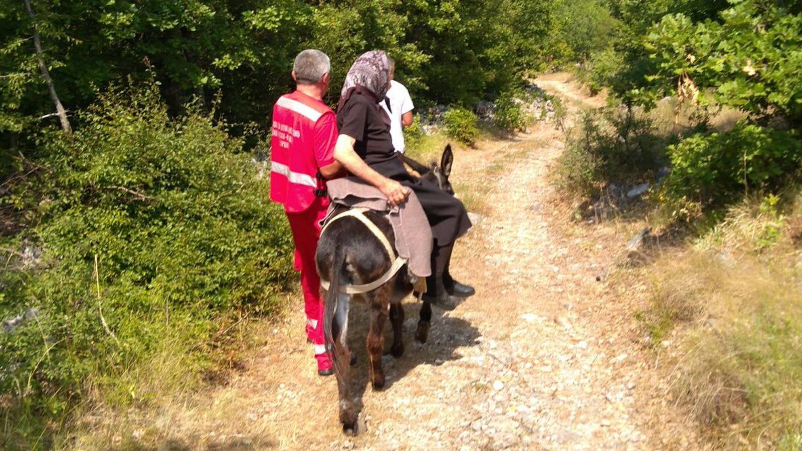 Baki je pozlilo od vrućine: Do vozila Hitne nosio ju - magarac