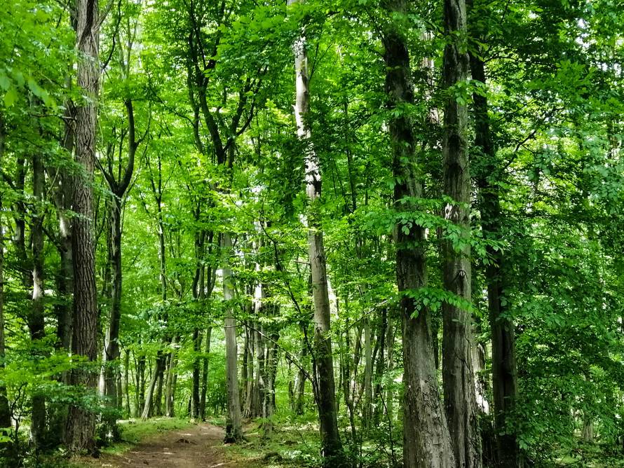 Izložba „Medvednica, neraskidiva veza sa Zagrebom“