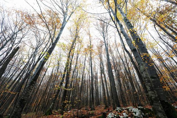 Vodice: Jesenja mističnost Ćićarije