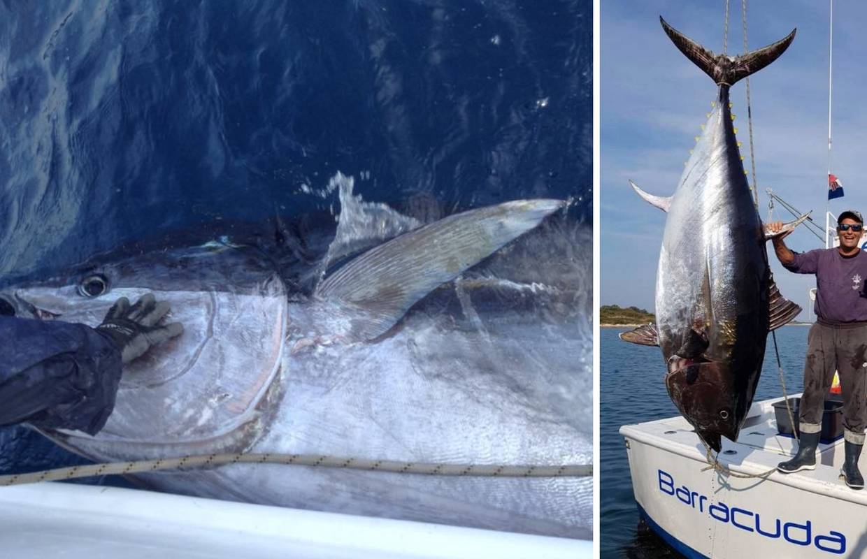 Ulovio je tunu rekordera od nevjerojatnih 317 kilograma