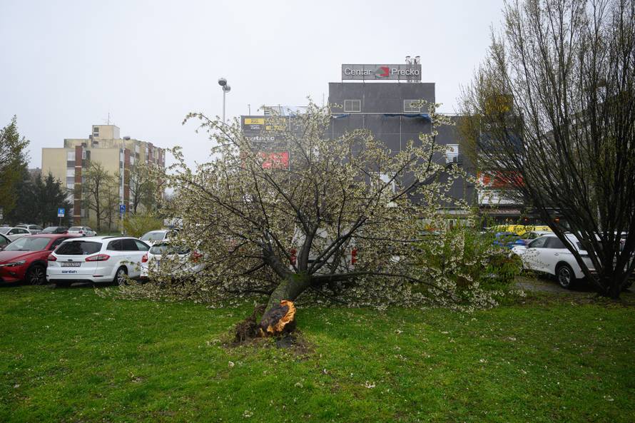 Zagreb: Olujni vjetar poharao Špansko, dignuti krovovi i isčupana stabla 