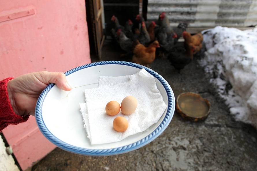 Željko Hladika/24sata