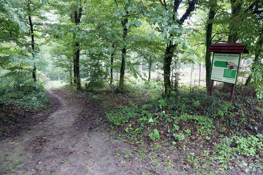 Shrvani otac:  Želio sam vidjeti gdje su mi poginuli žena i djeca