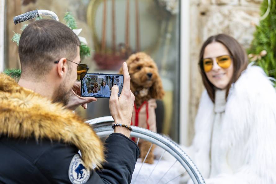 24sata: Pula: Pas pozira ispred cvjećarnice i glumi soba