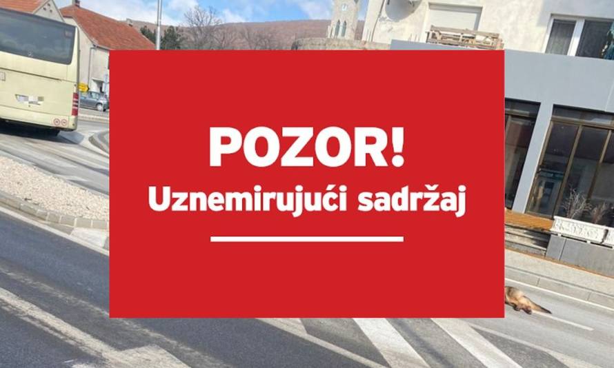 Strava u Posušju: Psa svezanog za auto vukli po centru mjesta. 'Užas, samo je nastavio voziti!'