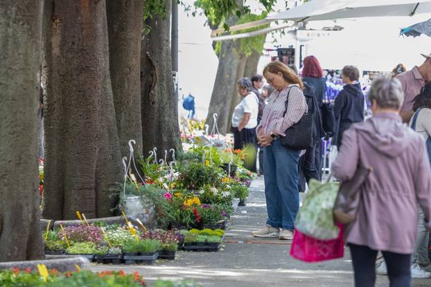 Pula: 17. Florija (sajam cvijca) na Giardinima