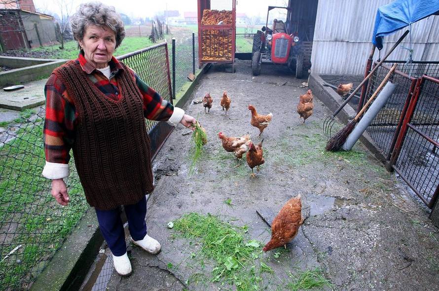 Petar Glebov/Pixsell